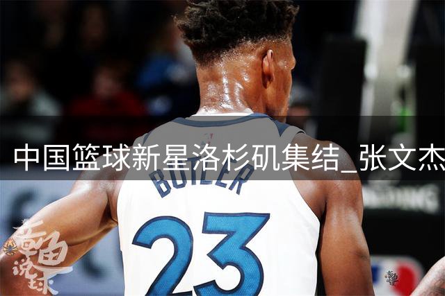 中国篮球新星洛杉矶集结 张文杰王凡懿与陈国豪开启特训之旅