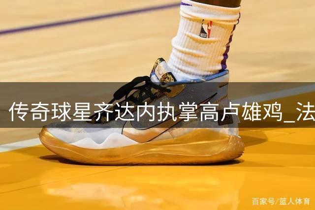 传奇球星齐达内执掌高卢雄鸡 法国足球迎来新时代